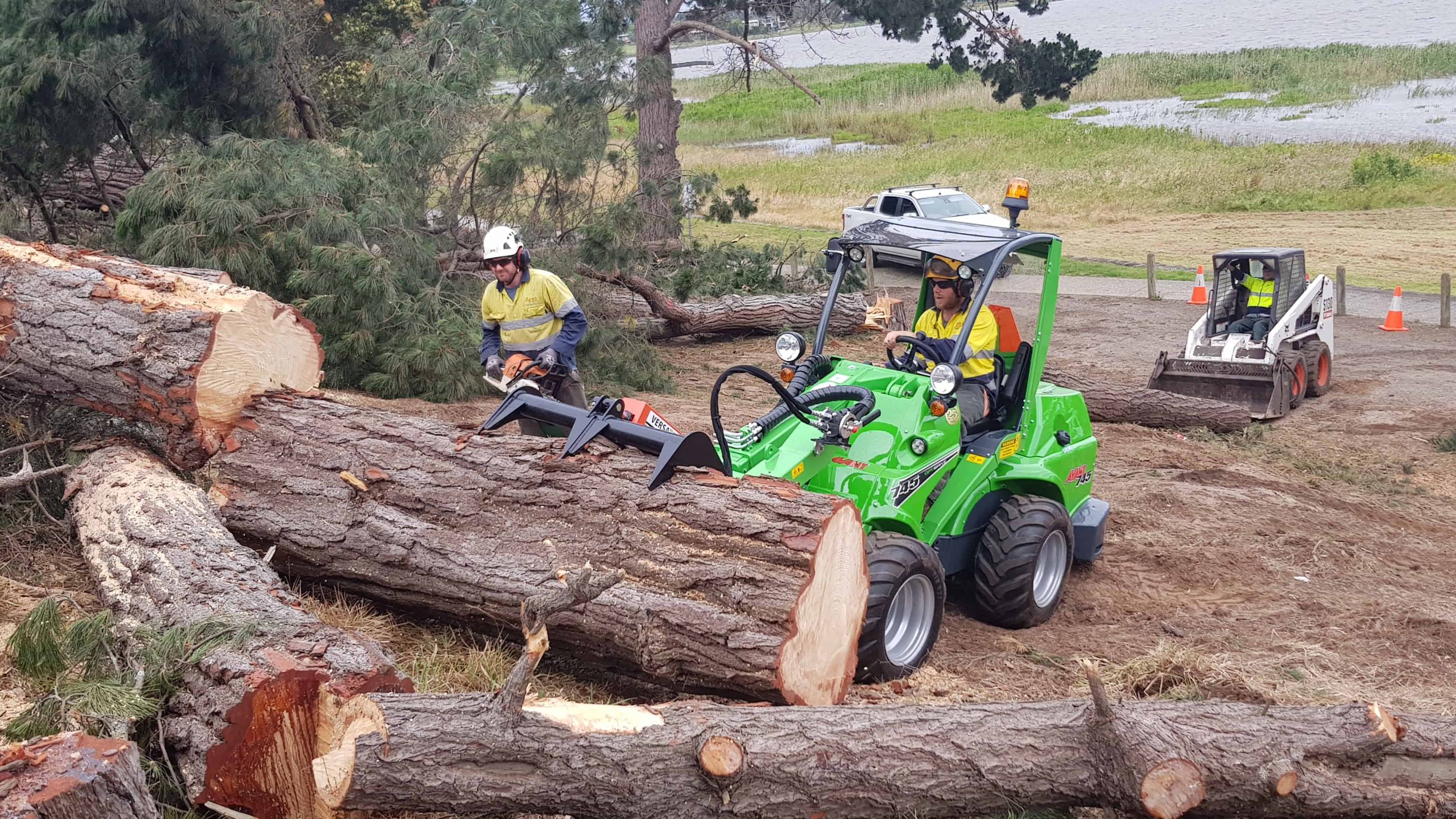 ArborAge Review of the Avant 745