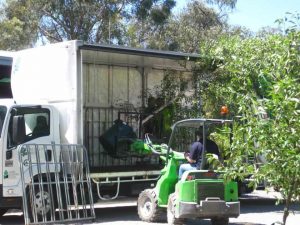 Speciality Trees Avant 745 Articulated Loader