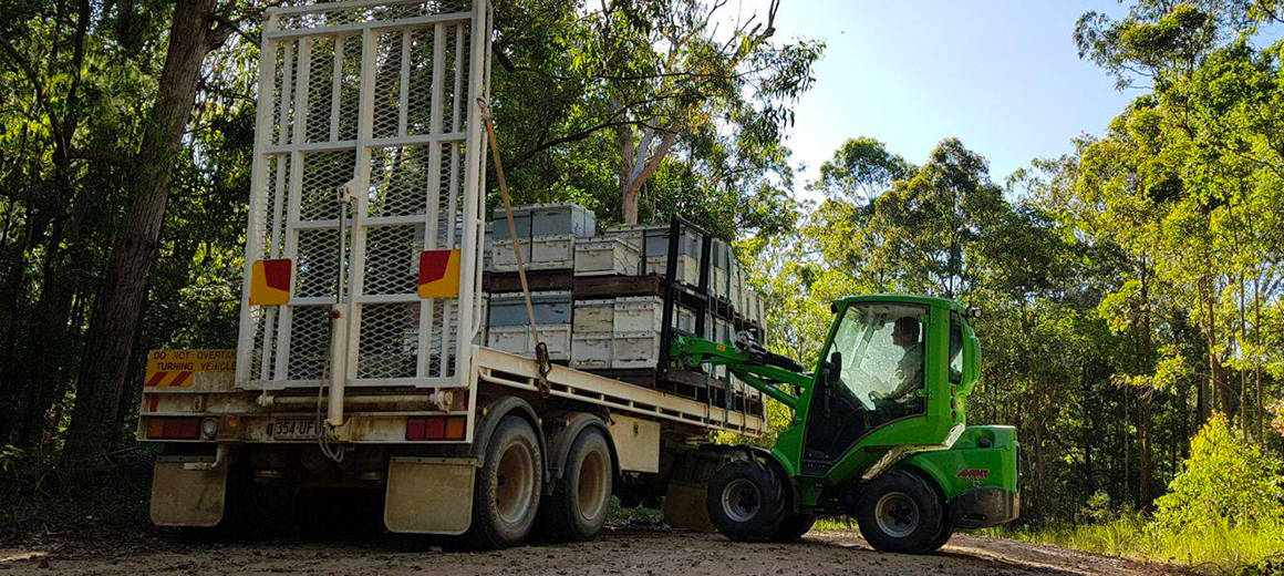 Avant BeePro articulated mini loader for beekeeping